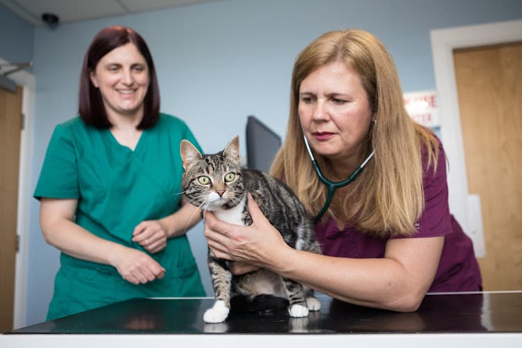 Business listing image