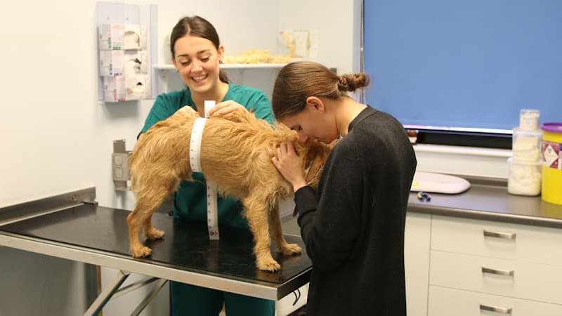 Business listing image