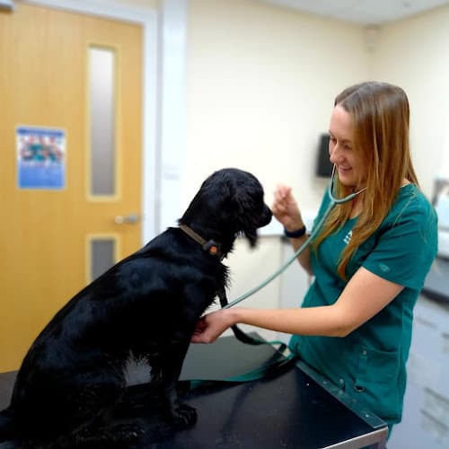 Business listing image