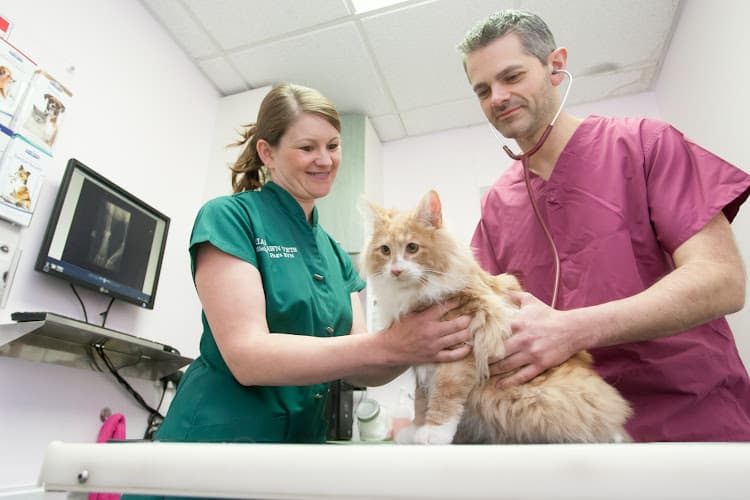 Business listing image