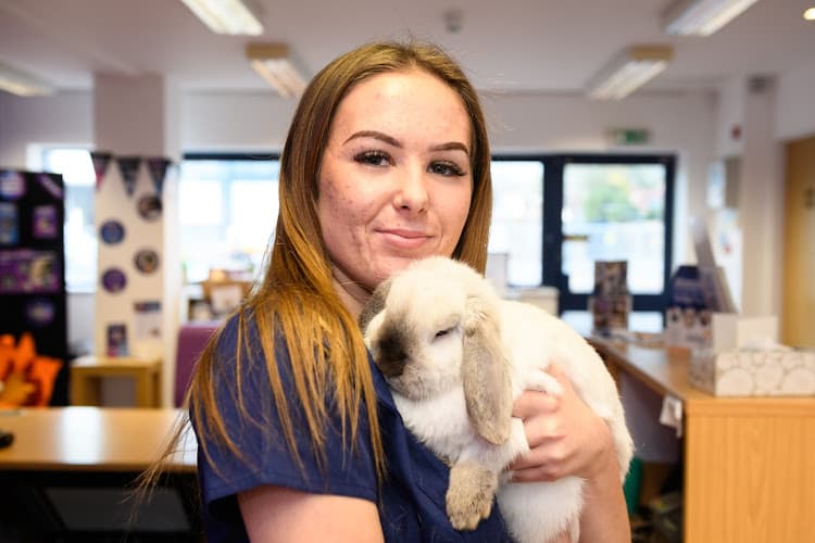 Business listing image