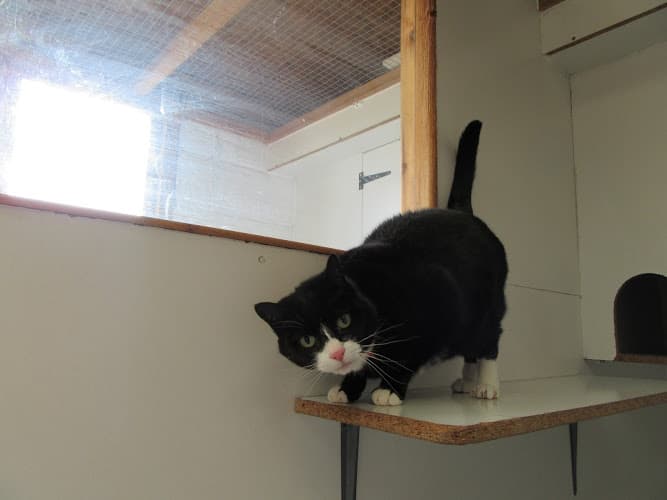 Business listing image