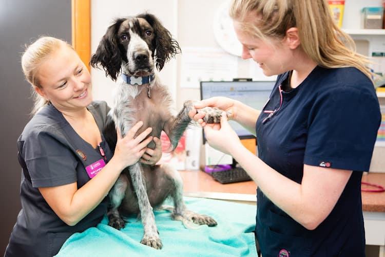 Business listing image