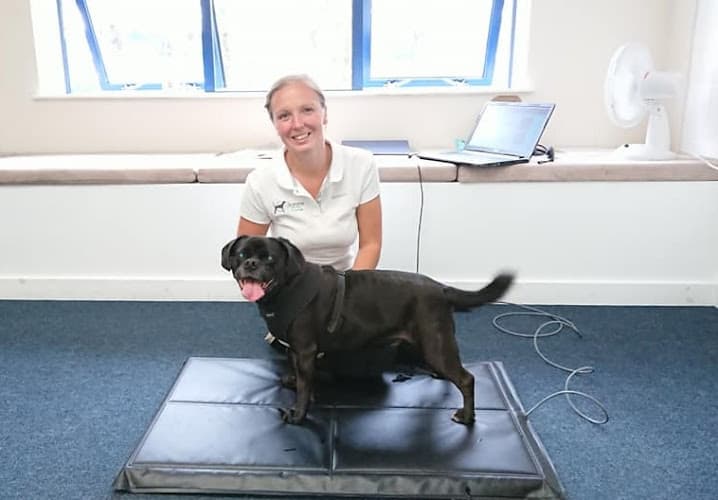 Business listing image