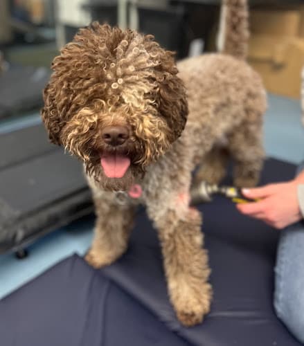 Business listing image