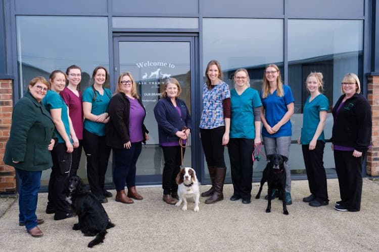 Business listing image