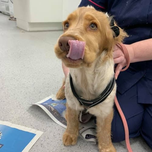 Business listing image