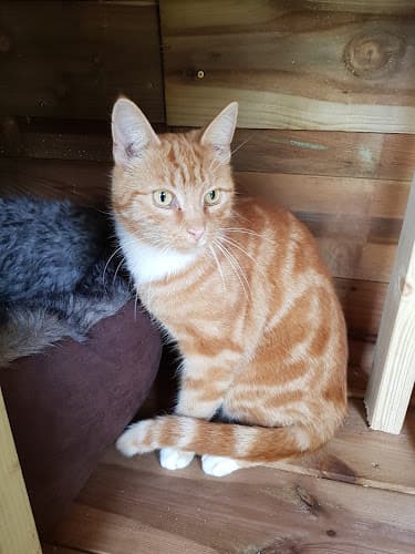 Business listing image