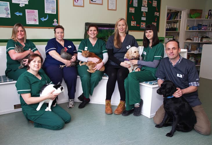 Business listing image