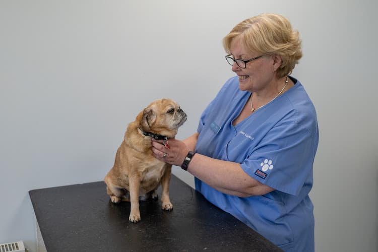 Business listing image