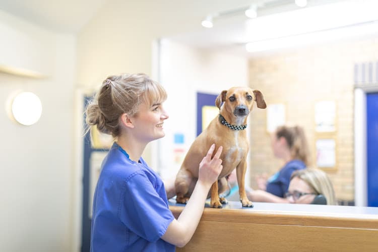 Business listing image