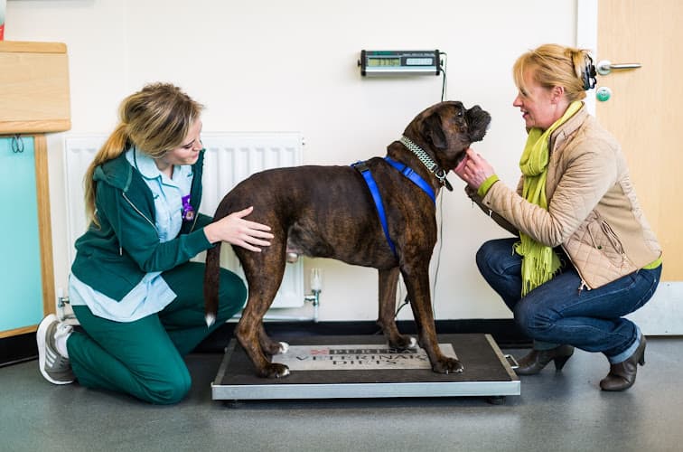 Business listing image