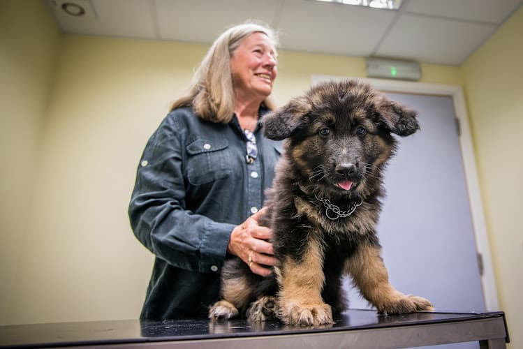 Business listing image