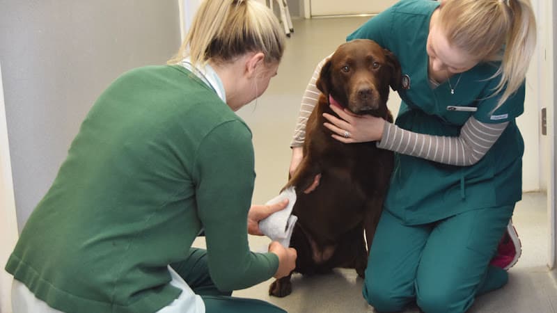 Business listing image