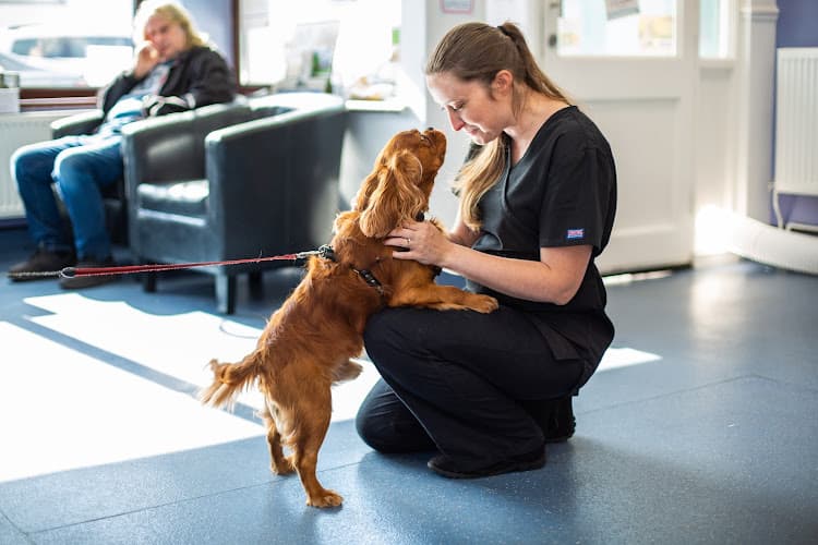 Business listing image