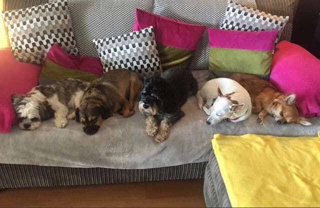 Business listing image