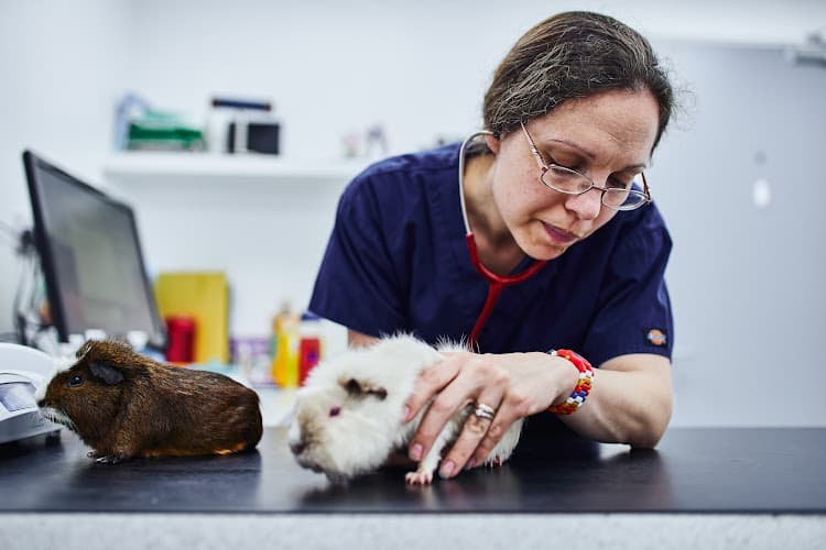 Business listing image