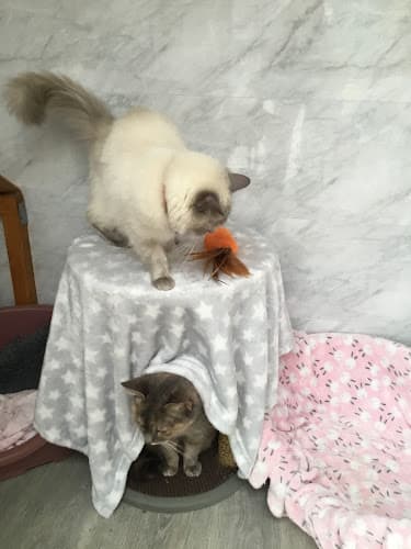 Business listing image